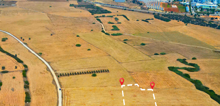 LAND FOR SALE IN BAFRA HOTELS REGION, TOTAL 5,017 SQUARE METERS (3 DÖNÜM 3 EVLEK)